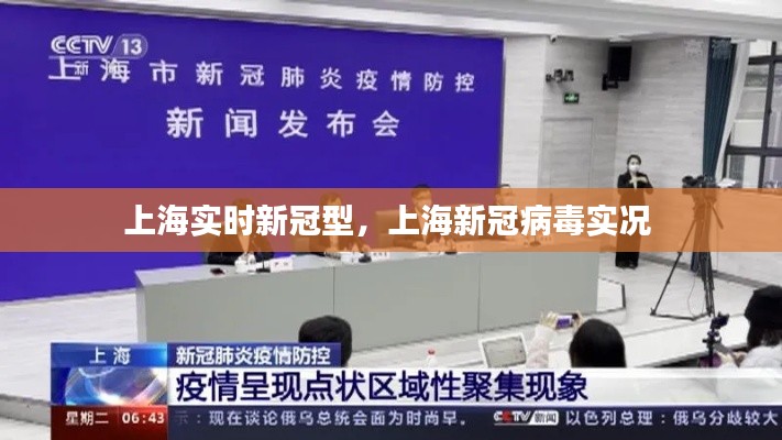 上海实时新冠型，上海新冠病毒实况 
