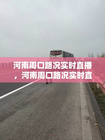 河南周口路况实时直播，河南周口路况实时直播今天 