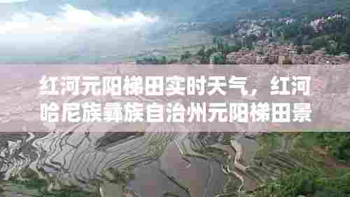 红河元阳梯田实时天气,红河哈尼族彝族自治州元阳梯田景区天气情况