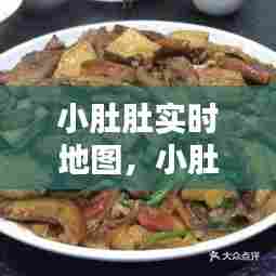 小肚肚实时地图,小肚肚照片看