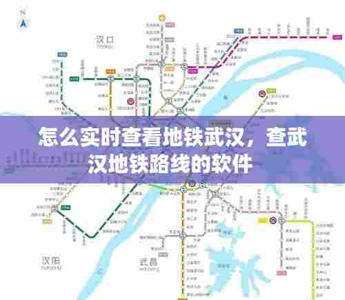 怎么实时查看地铁武汉，查武汉地铁路线的软件 