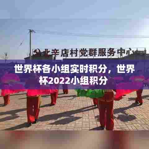 世界杯各小组实时积分，世界杯2022小组积分 