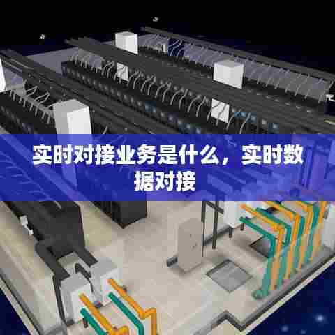 实时对接业务是什么，实时数据对接 