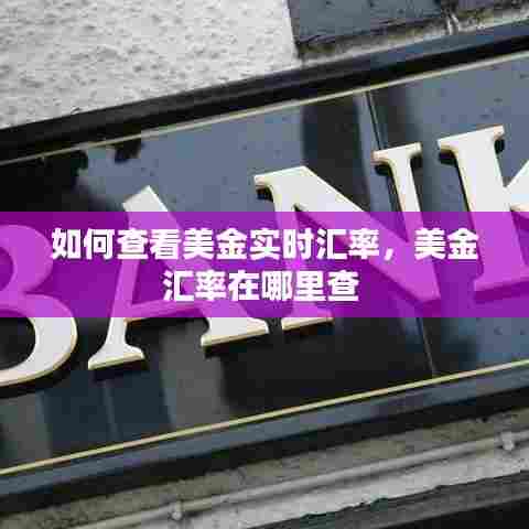 如何查看美金实时汇率，美金汇率在哪里查 