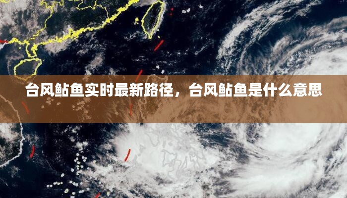 台风鲇鱼实时最新路径,台风鲇鱼是什么意思