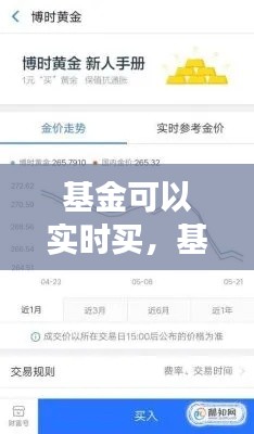 基金可以实时买,基金可以实时买卖吗