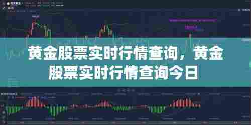 黄金股票实时行情查询，黄金股票实时行情查询今日 