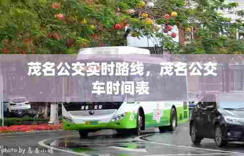 茂名公交实时路线,茂名公交车时间表