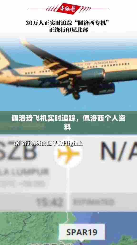 佩洛琦飞机实时追踪，佩洛西个人资料 