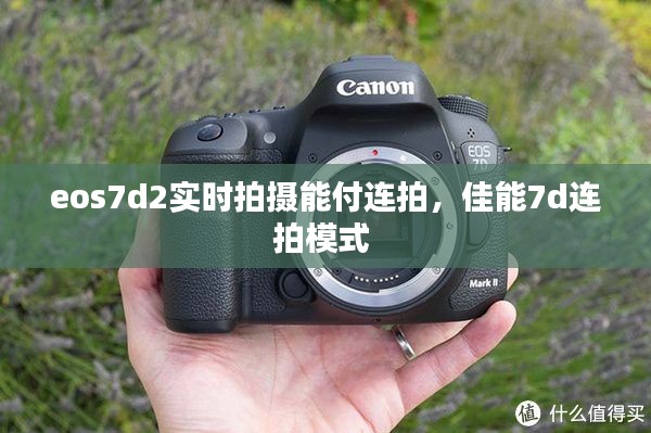 eos7d2实时拍摄能付连拍，佳能7d连拍模式 