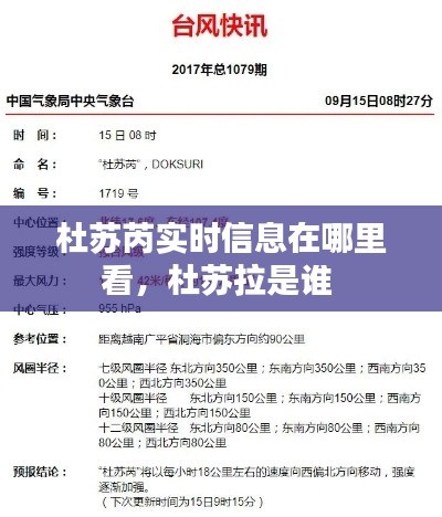 杜苏芮实时信息在哪里看，杜苏拉是谁 