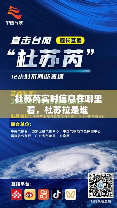 杜苏芮实时信息在哪里看,杜苏拉是谁