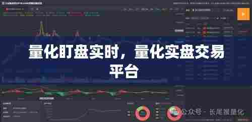 量化盯盘实时,量化实盘交易平台