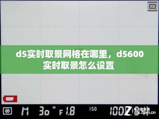 d5实时取景网格在哪里，d5600实时取景怎么设置 