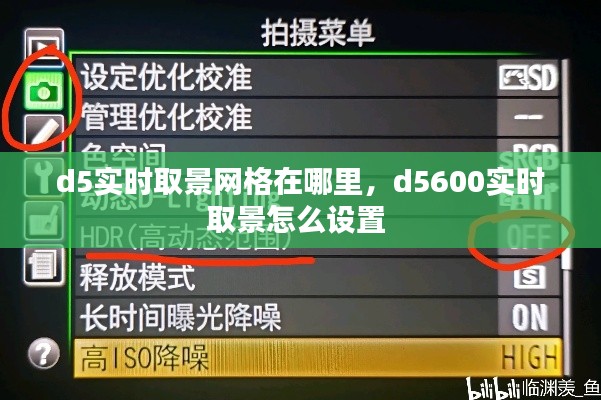 d5实时取景网格在哪里,d5600实时取景怎么设置