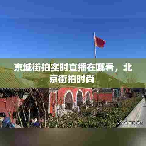 张飞穿针 第8页