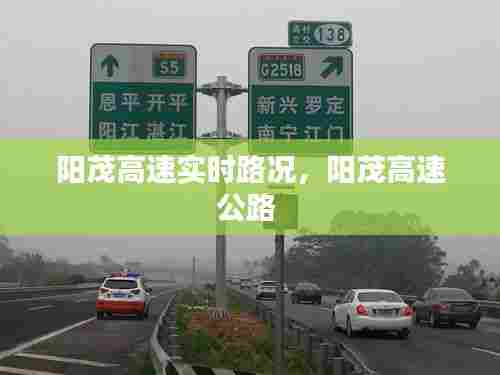 阳茂高速实时路况,阳茂高速公路