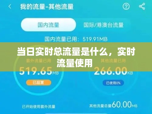 当日实时总流量是什么，实时流量使用 