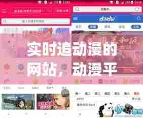 实时追动漫的网站,动漫平台追番的app叫什么