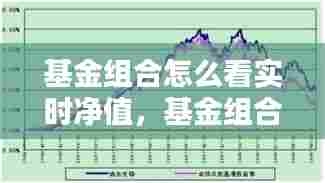 基金组合怎么看实时净值，基金组合怎么看净值估算 