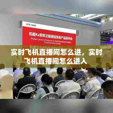 实时飞机直播间怎么进,实时飞机直播间怎么进入