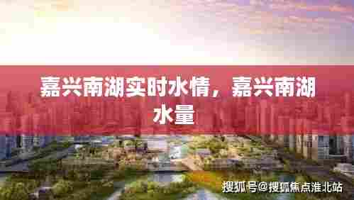 嘉兴南湖实时水情,嘉兴南湖水量