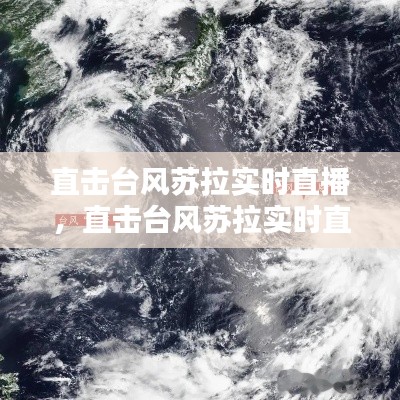 直击台风苏拉实时直播，直击台风苏拉实时直播视频 