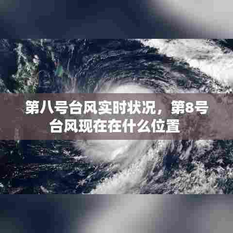 第八号台风实时状况,第8号台风现在在什么位置