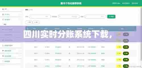 四川实时分账系统下载,