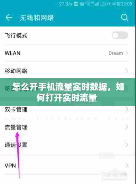 怎么开手机流量实时数据,如何打开实时流量
