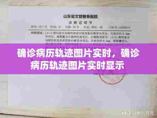 确诊病历轨迹图片实时，确诊病历轨迹图片实时显示 