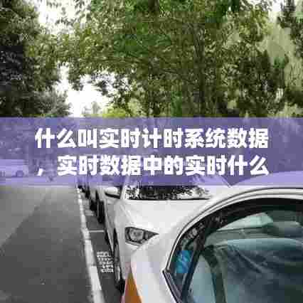 什么叫实时计时系统数据，实时数据中的实时什么意思 