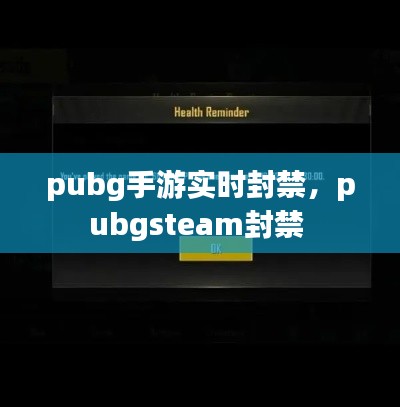 pubg手游实时封禁，pubgsteam封禁 