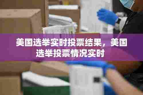 美国选举实时投票结果，美国选举投票情况实时 