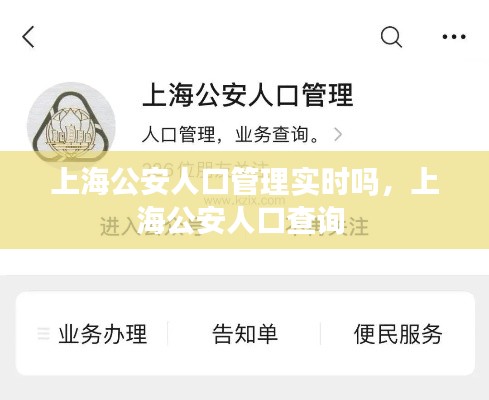 上海公安人口管理实时吗,上海公安人口查询