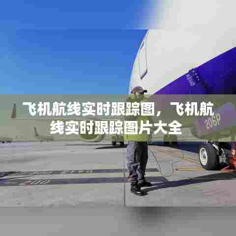 飞机航线实时跟踪图，飞机航线实时跟踪图片大全 