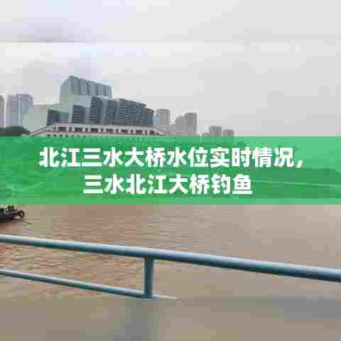 北江三水大桥水位实时情况，三水北江大桥钓鱼 