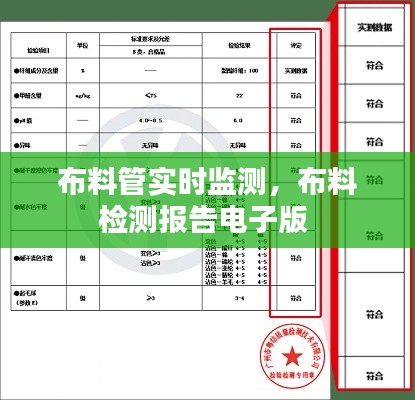 布料管实时监测，布料检测报告电子版 