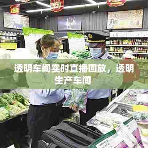 透明车间实时直播回放,透明生产车间