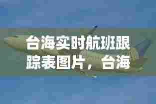 台海实时航班跟踪表图片,台海航线