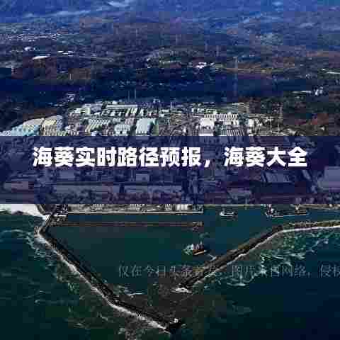 海葵实时路径预报，海葵大全 