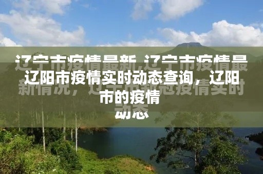 辽阳市疫情实时动态查询，辽阳市的疫情 