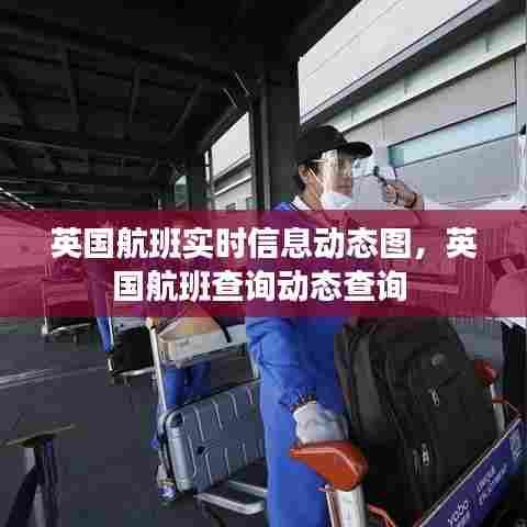 英国航班实时信息动态图,英国航班查询动态查询