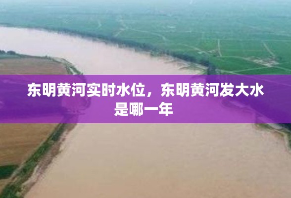 东明黄河实时水位，东明黄河发大水是哪一年 