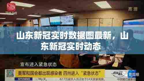 山东新冠实时数据图最新，山东新冠实时动态 