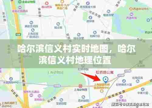 哈尔滨信义村实时地图，哈尔滨信义村地理位置 
