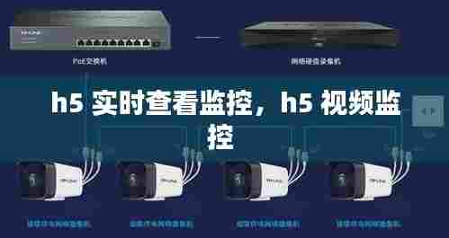h5 实时查看监控,h5 视频监控