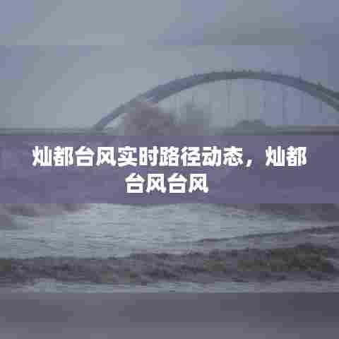 灿都台风实时路径动态,灿都台风台风
