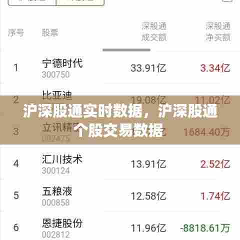 沪深股通实时数据,沪深股通个股交易数据