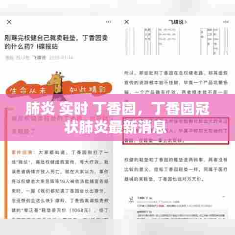 肺炎 实时 丁香园，丁香园冠状肺炎最新消息 